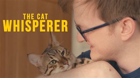 Cat Whisperer Magic: Amazing Stories of Feline Transformation and Connection